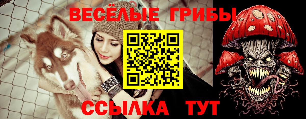 Псилоцибиновые грибы Cubensis  Галлюциногенные грибы MAGIC MUSHROOMS  Батайск  Вход с VPN 